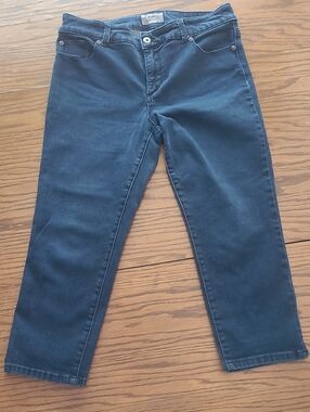 Chico's Slim Straight Dark Blue  Capris